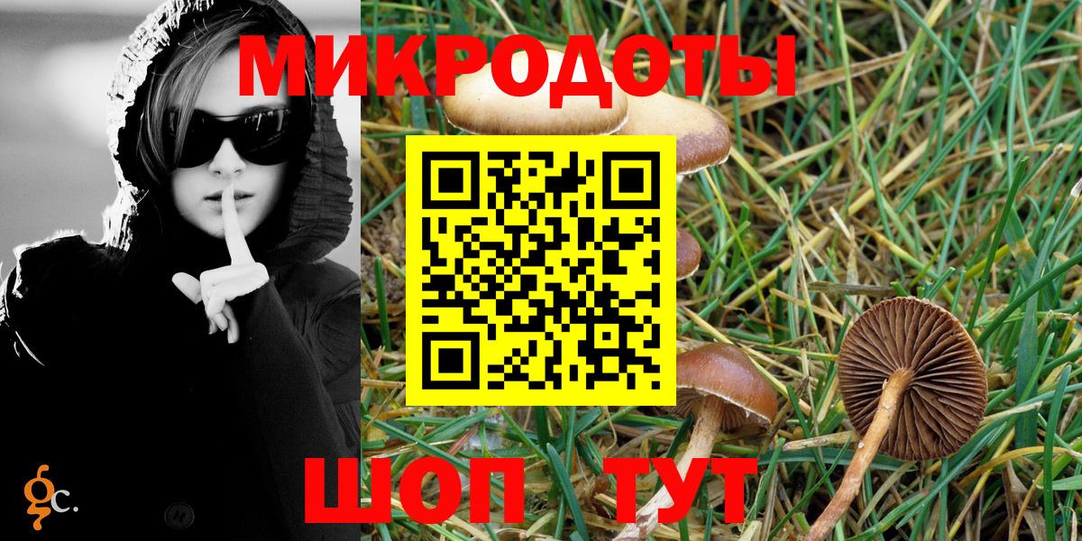 Псилоцибиновые грибы Psilocybe  Вход с VPN  Камышин  Галлюциногенные грибы мухоморы 