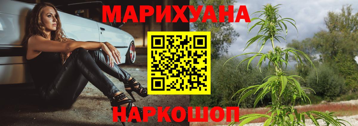 МАРИХУАНА планчик Камышин